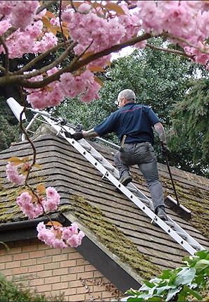 Our staff cleaning the moss from a roof in Reigate in Surrey